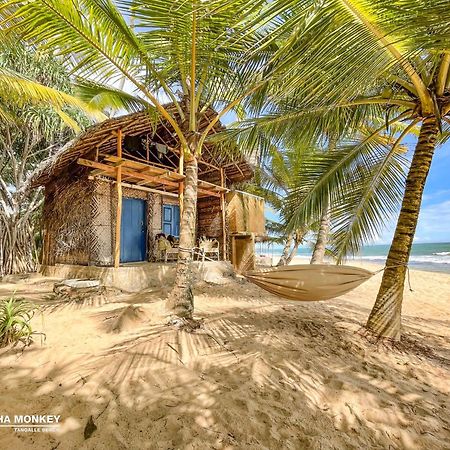 The Alpha Monkey Hotel & Tree House Tangalle Luaran gambar