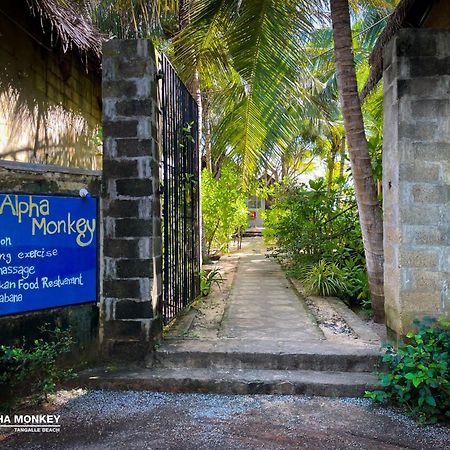 The Alpha Monkey Hotel & Tree House Tangalle Luaran gambar