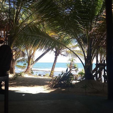 The Alpha Monkey Hotel & Tree House Tangalle Luaran gambar