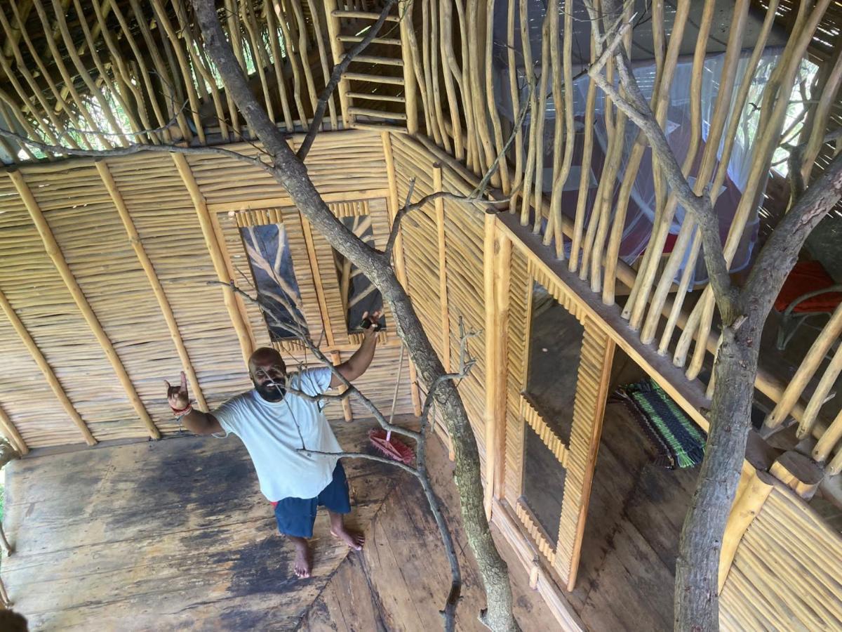 The Alpha Monkey Hotel & Tree House Tangalle Luaran gambar
