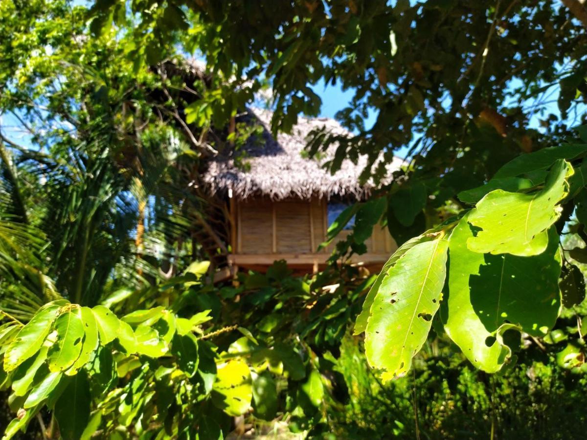 The Alpha Monkey Hotel & Tree House Tangalle Luaran gambar
