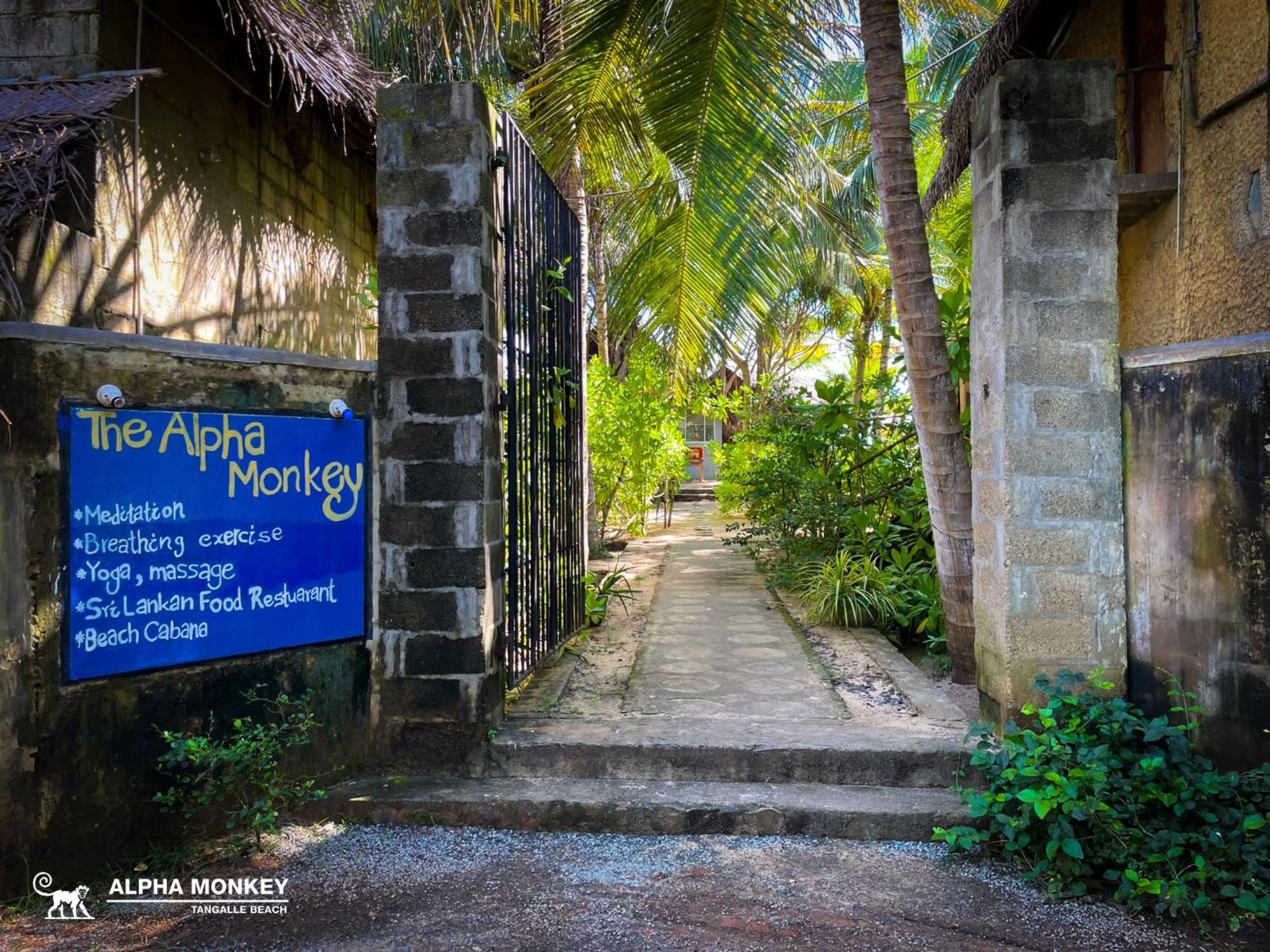The Alpha Monkey Hotel & Tree House Tangalle Luaran gambar