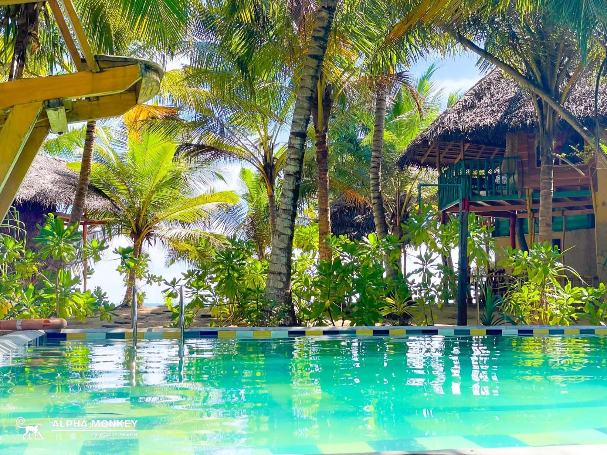 The Alpha Monkey Hotel & Tree House Tangalle Luaran gambar