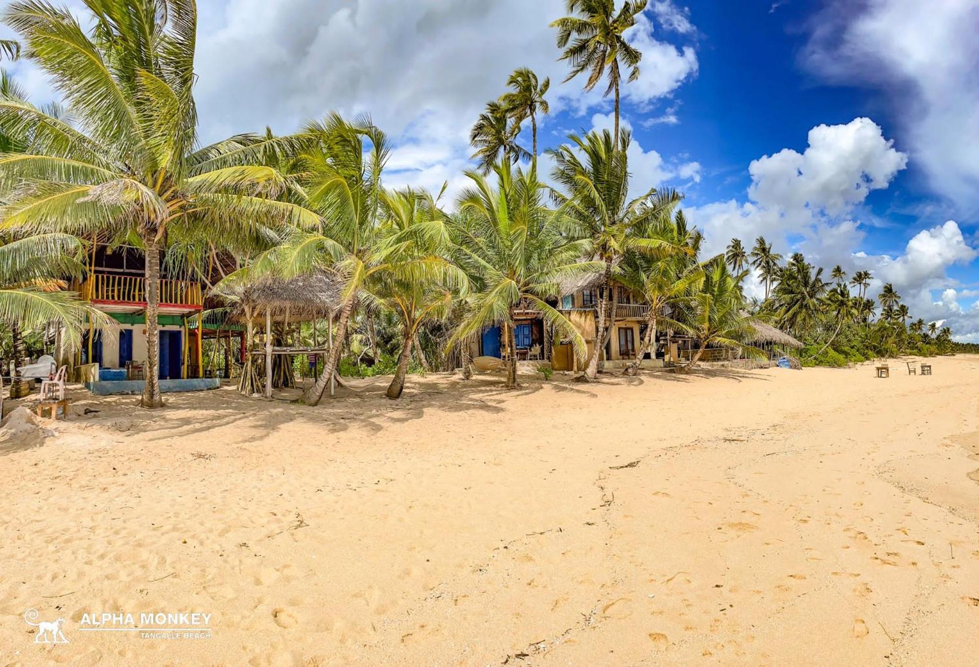 The Alpha Monkey Hotel & Tree House Tangalle Luaran gambar