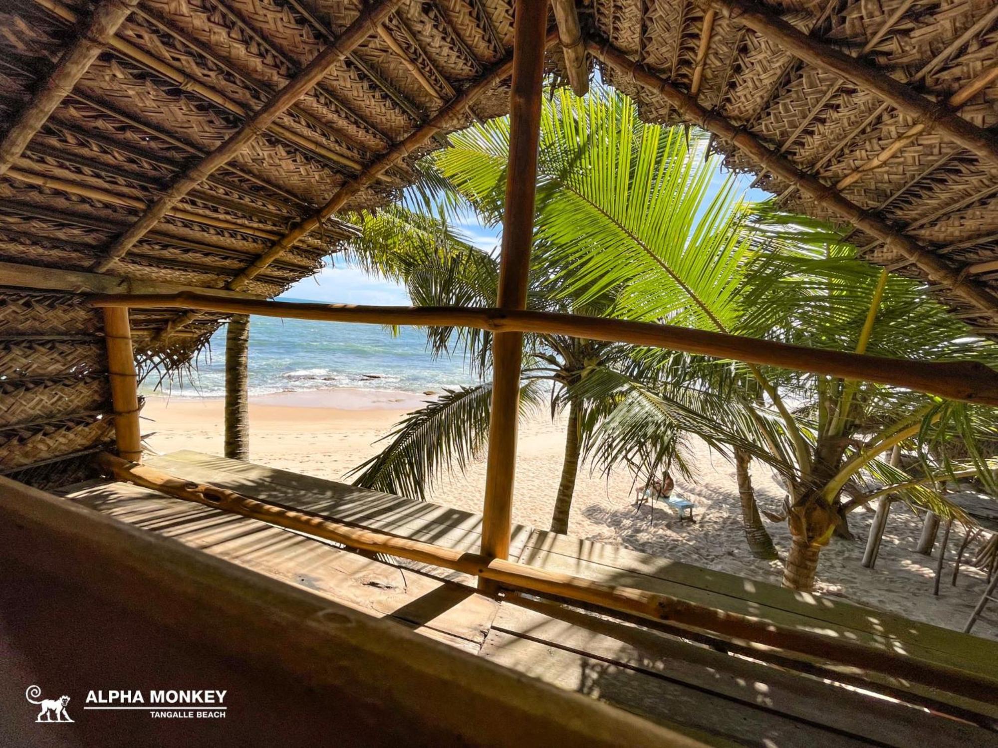 The Alpha Monkey Hotel & Tree House Tangalle Luaran gambar
