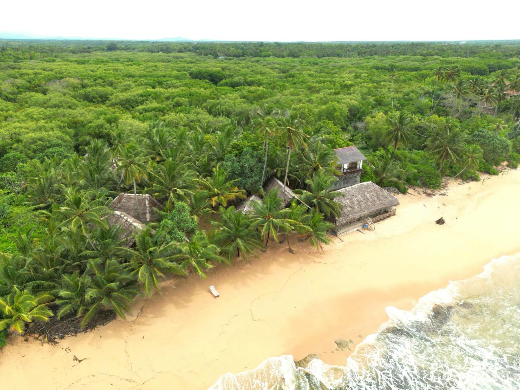 The Alpha Monkey Hotel & Tree House Tangalle Luaran gambar