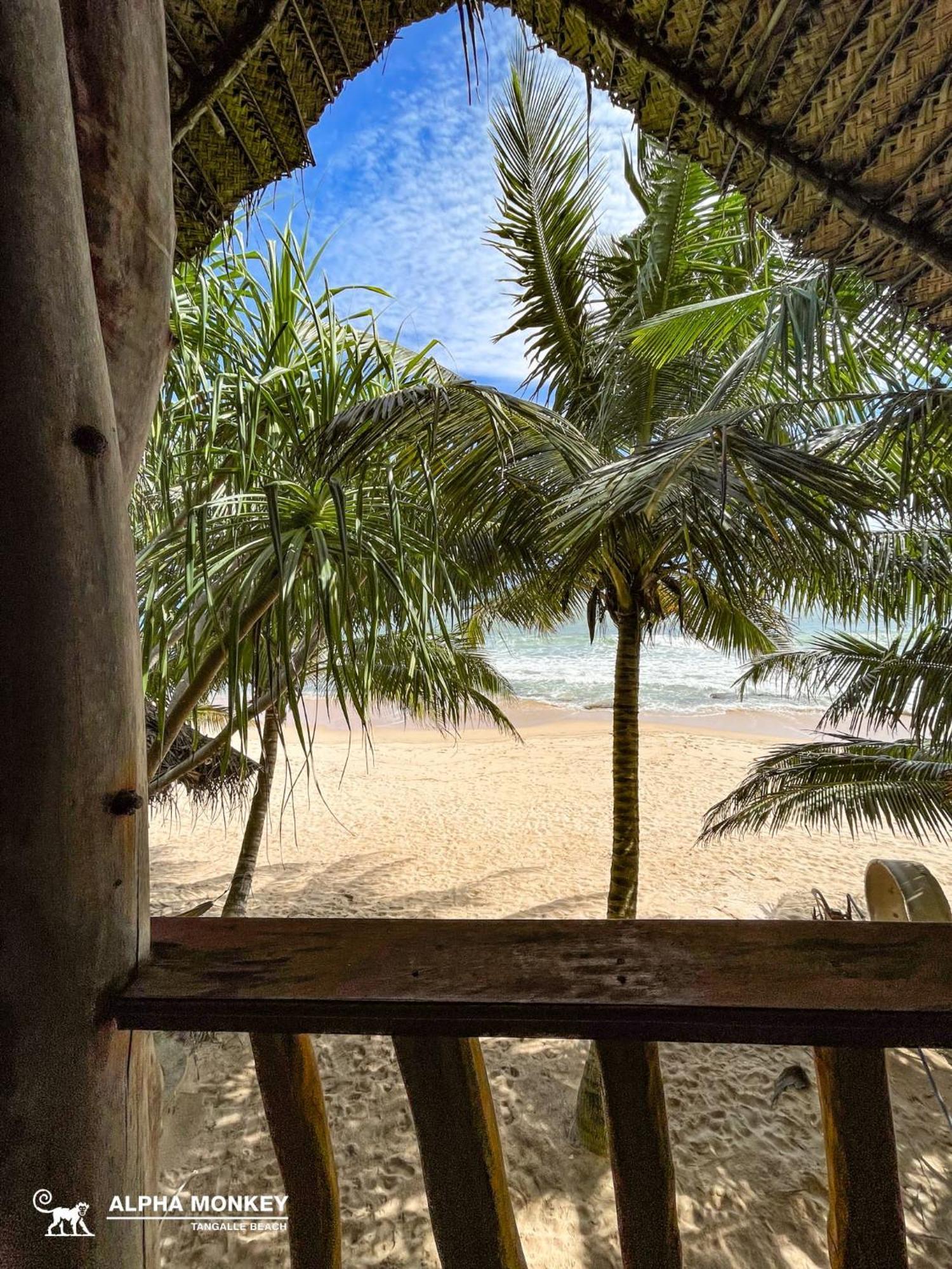 The Alpha Monkey Hotel & Tree House Tangalle Bilik gambar